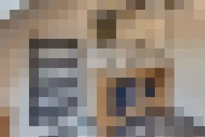 Hazeleger 9 Zeewolde thumbnail 23
