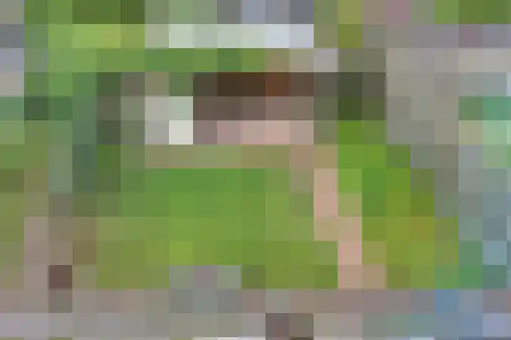 Hazeleger 9 Zeewolde thumbnail 32