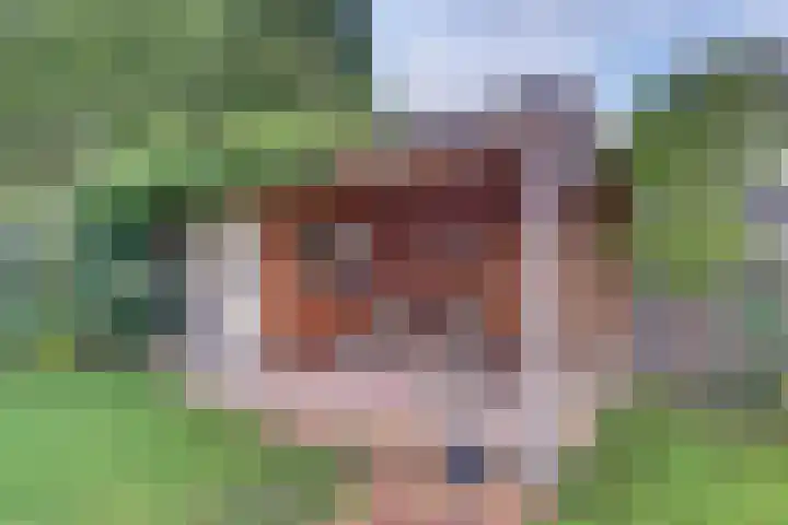 Hazeleger 9 Zeewolde thumbnail 35