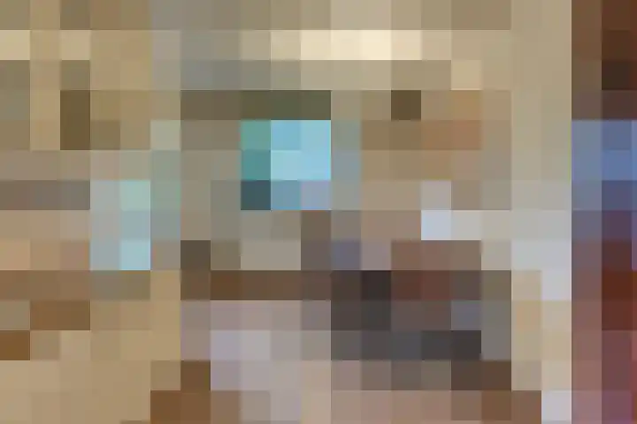 Hazeleger 9 Zeewolde thumbnail 4
