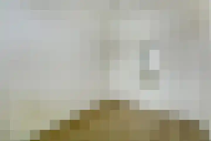 Hazelegerstraat 14 Veen thumbnail 18