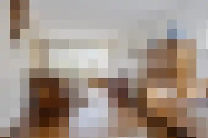 Hazelhoenhof 15 Nuenen thumbnail 13