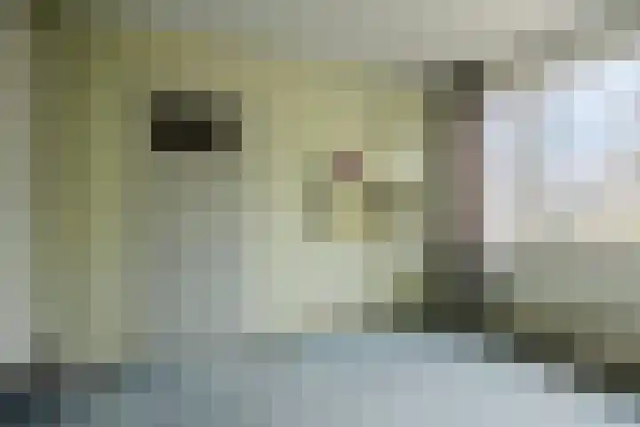 Hazelhoenhof 15 Nuenen thumbnail 27