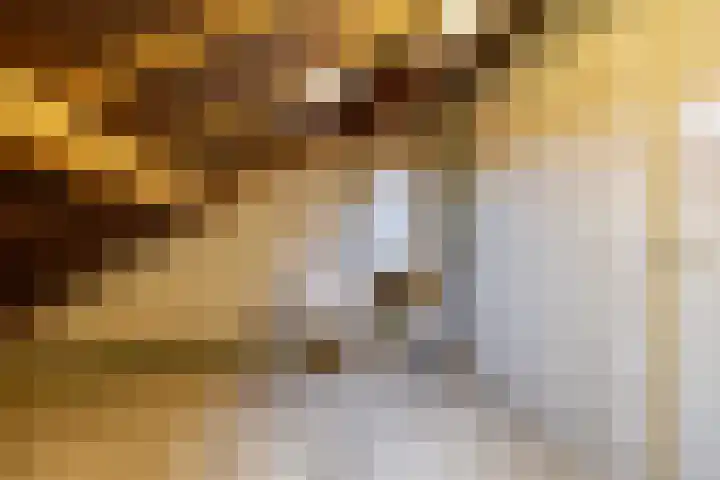 Hazelhoenhof 15 Nuenen thumbnail 33