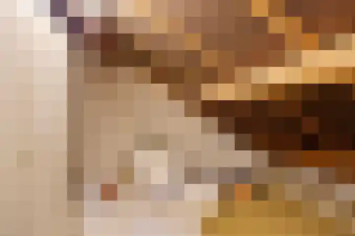 Hazelhoenhof 15 Nuenen thumbnail 34
