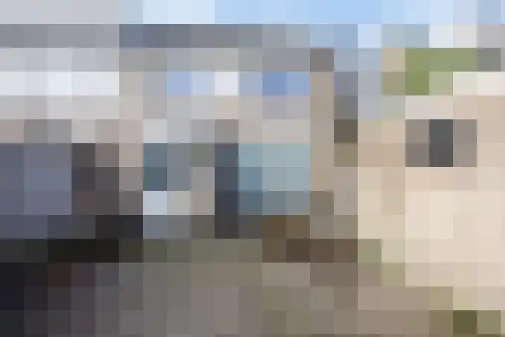 Hazelhoenhof 15 Nuenen thumbnail 37