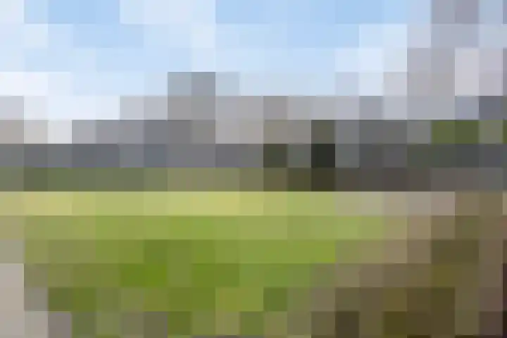 Hazelhoenhof 15 Nuenen thumbnail 42