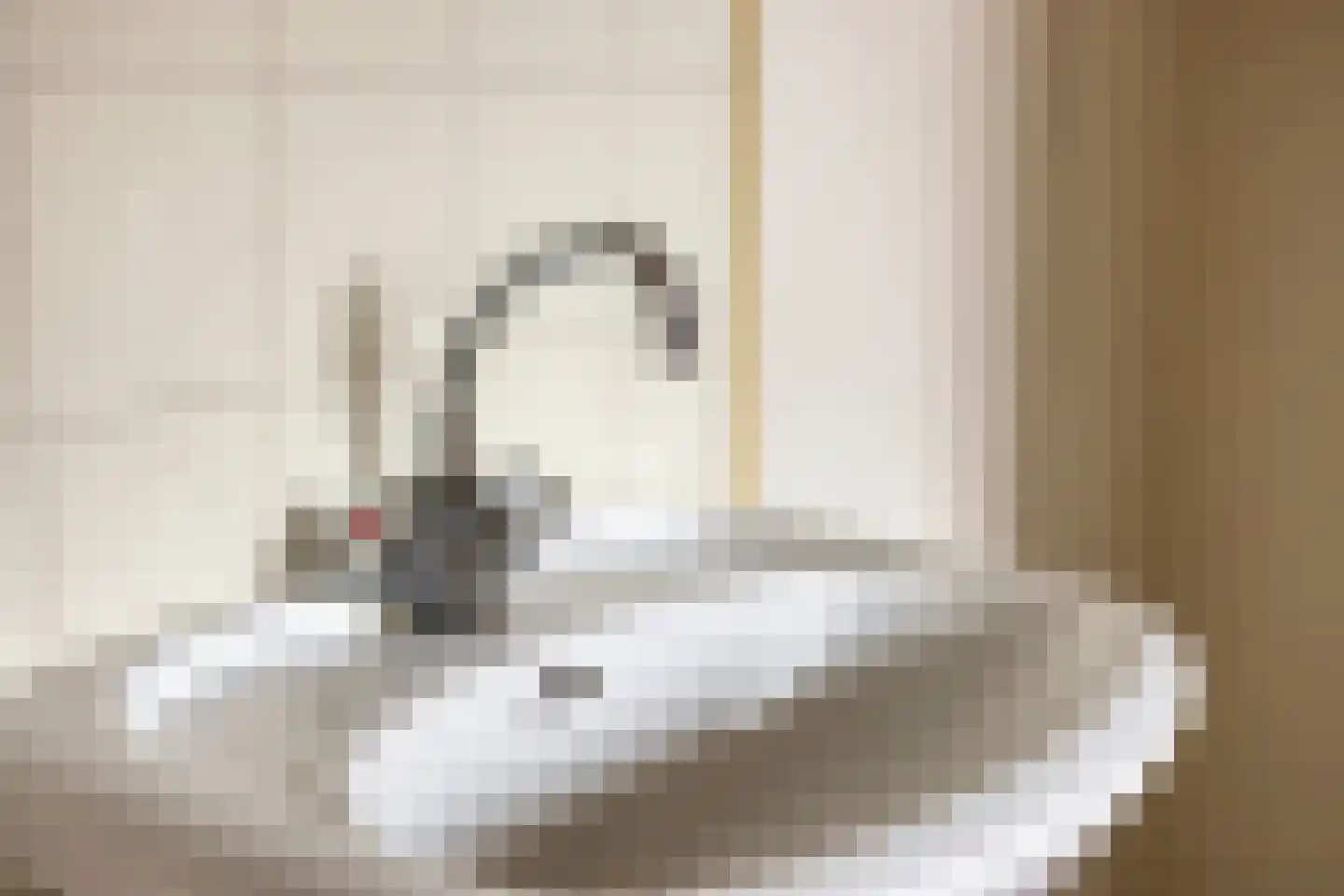 Hazelnoot 15 Ruurlo thumbnail 24