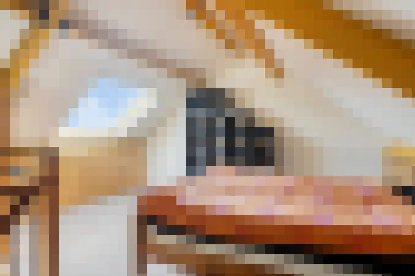 Hazelnoot 15 Ruurlo thumbnail 29