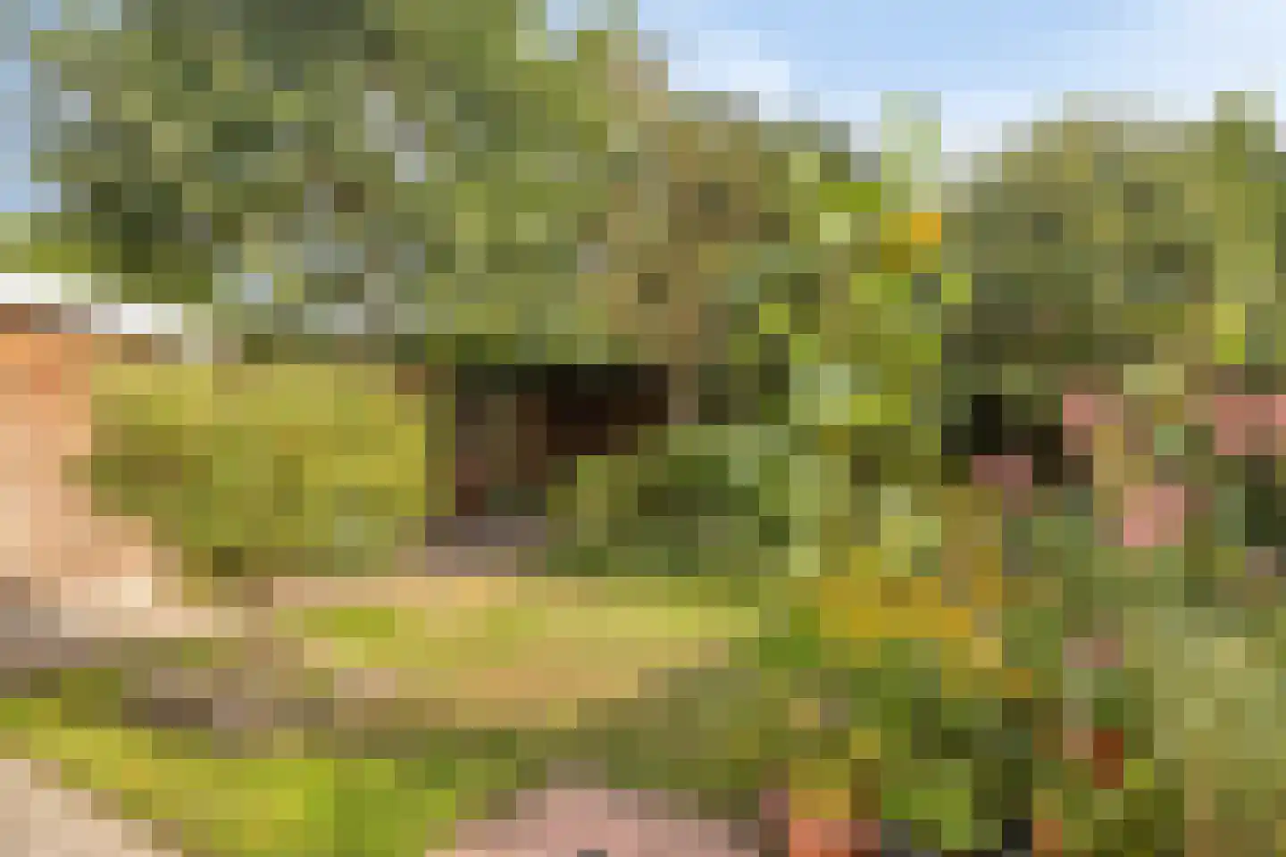 Hazelnoot 15 Ruurlo thumbnail 30