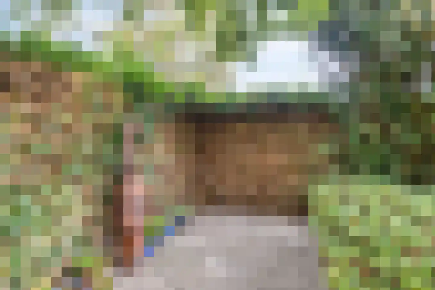 Hazelnoot 15 Ruurlo thumbnail 31