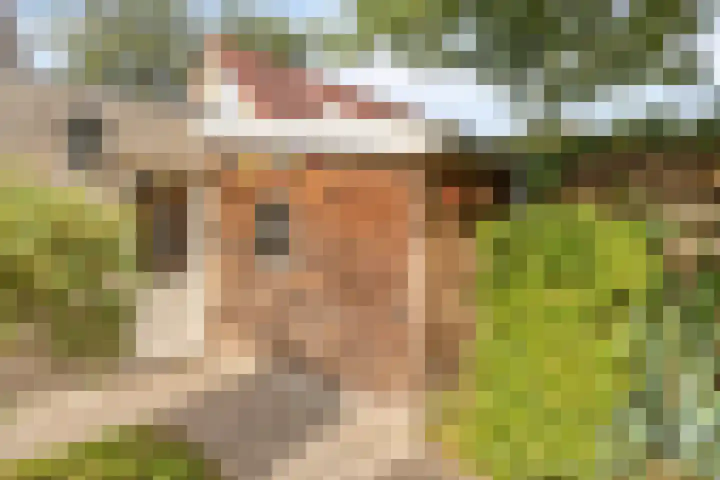 Hazelnoot 15 Ruurlo thumbnail 32