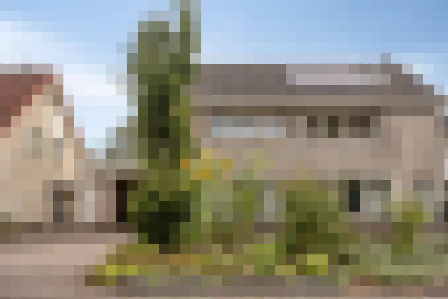 Hazelnoot 15 Ruurlo thumbnail 5