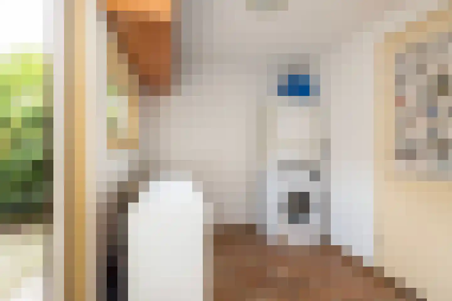 Hazelnoot 7 Doorn thumbnail 18