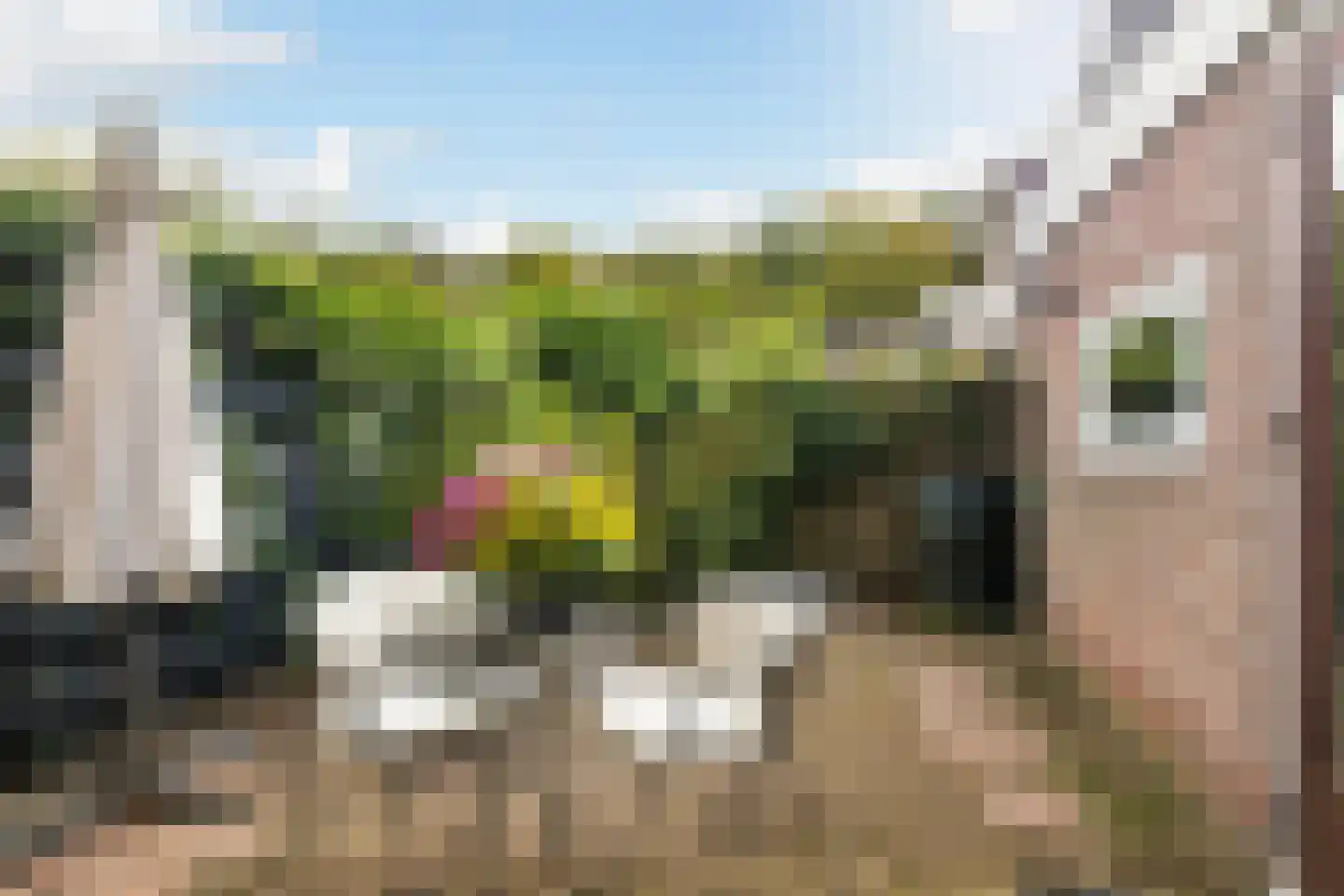 Hazelnoot 7 Doorn thumbnail 20