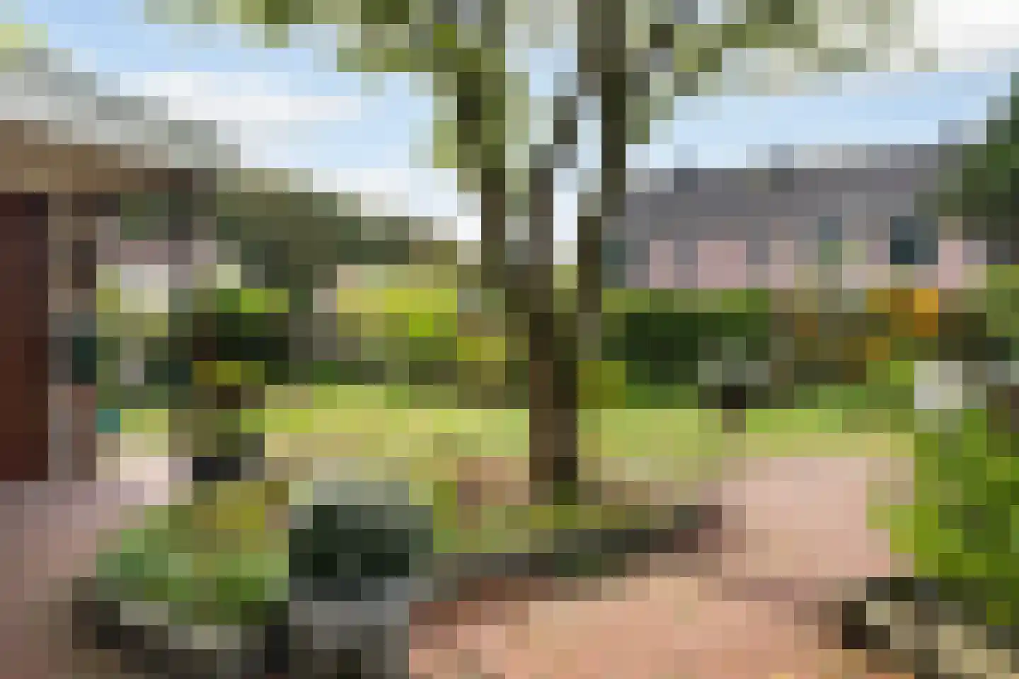 Hazelnoot 7 Doorn thumbnail 22
