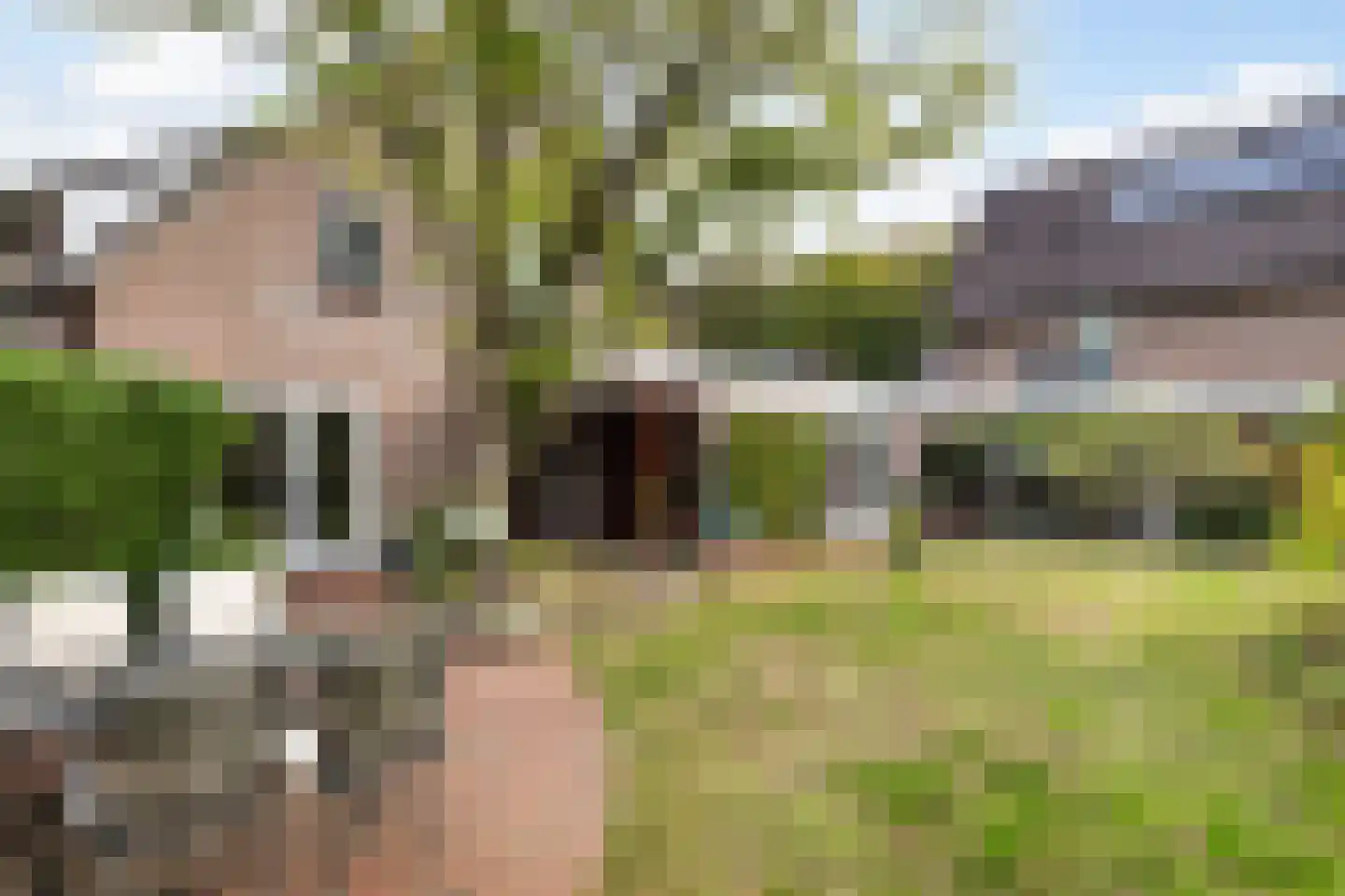 Hazelnoot 7 Doorn thumbnail 23