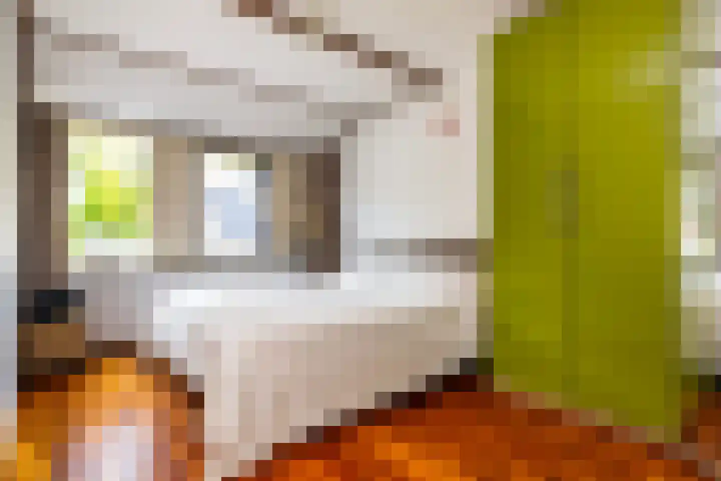 Hazelnoot 7 Doorn thumbnail 25
