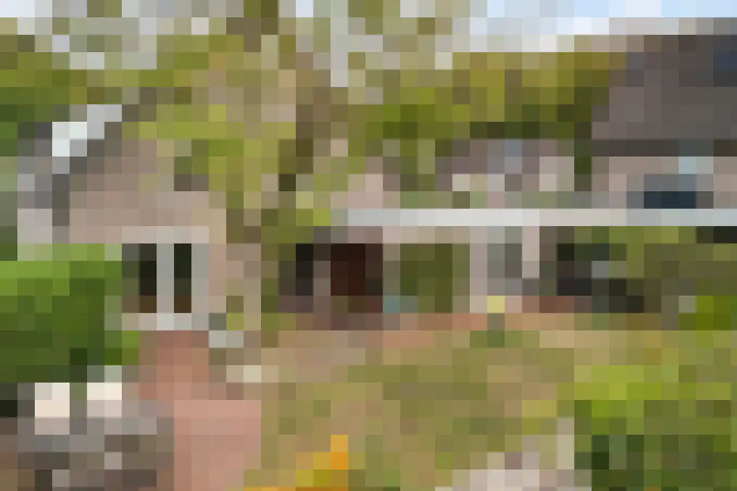 Hazelnoot 7 Doorn thumbnail 33