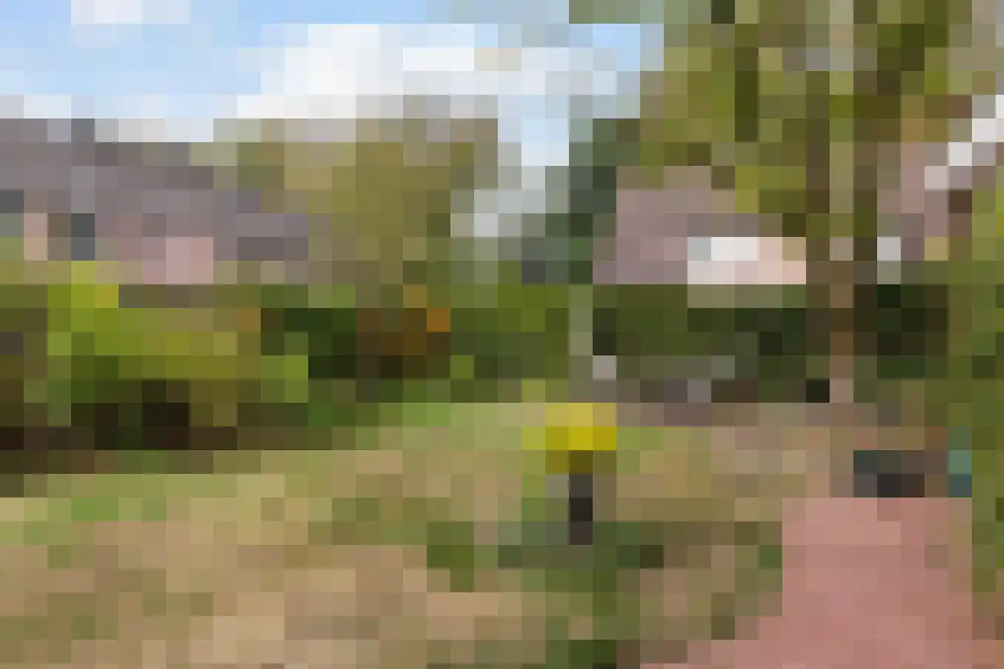 Hazelnoot 7 Doorn thumbnail 36