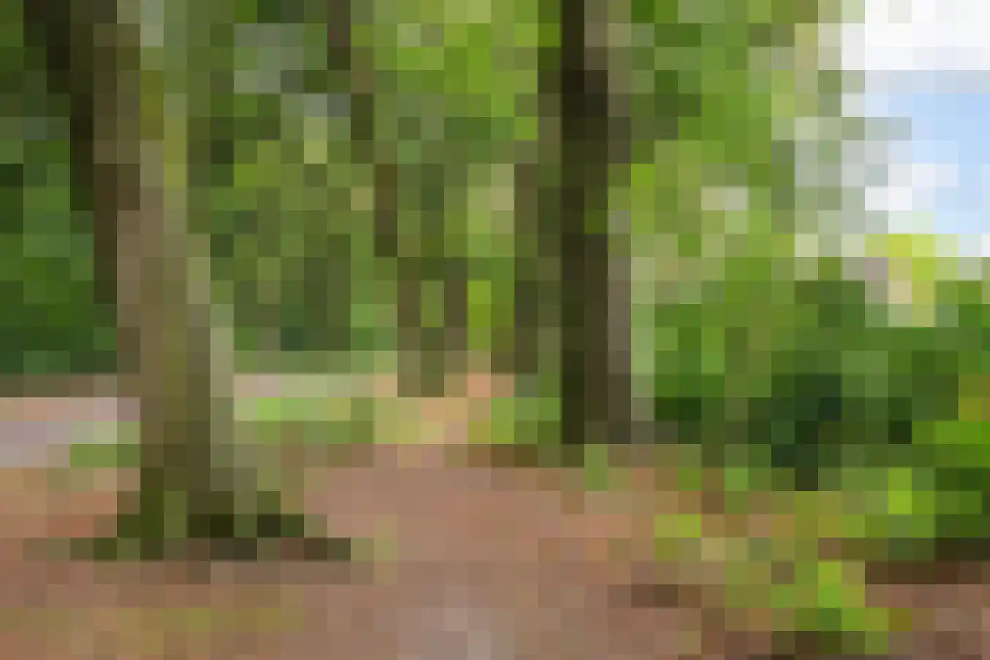 Hazelnoot 7 Doorn thumbnail 38