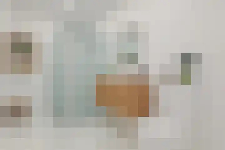 Hazelnootgaarde 6 Zoetermeer thumbnail 23
