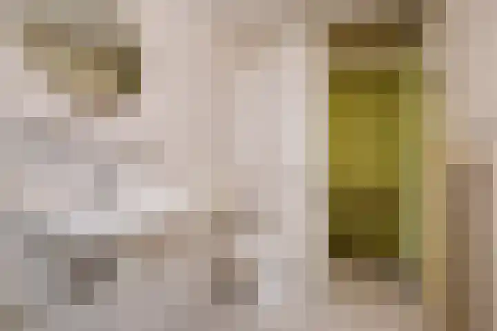 Hazelnootgaarde 6 Zoetermeer thumbnail 25