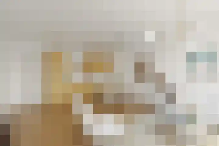Hazelnootgaarde 8 Zoetermeer thumbnail 4