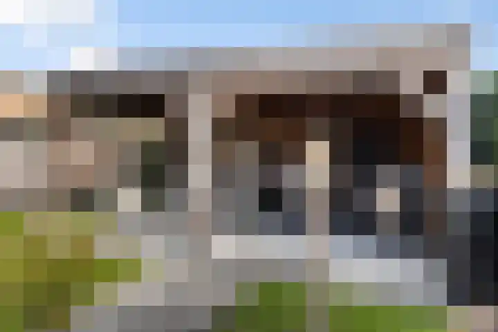 Hazelnootgaarde 8 Zoetermeer thumbnail 6