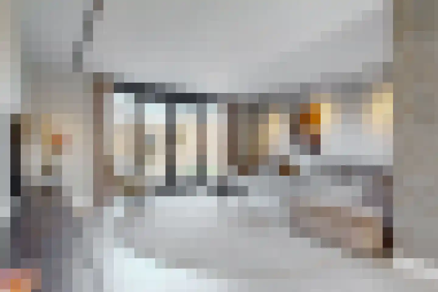 Hazelnootlint 2 Limmen thumbnail 14