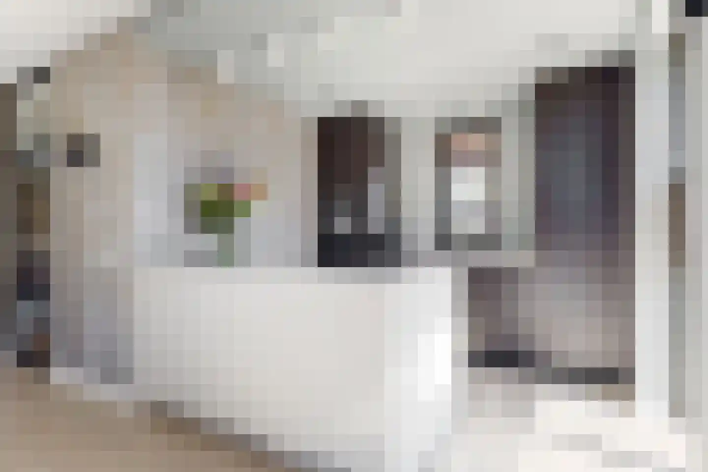 Hazelnootlint 2 Limmen thumbnail 19