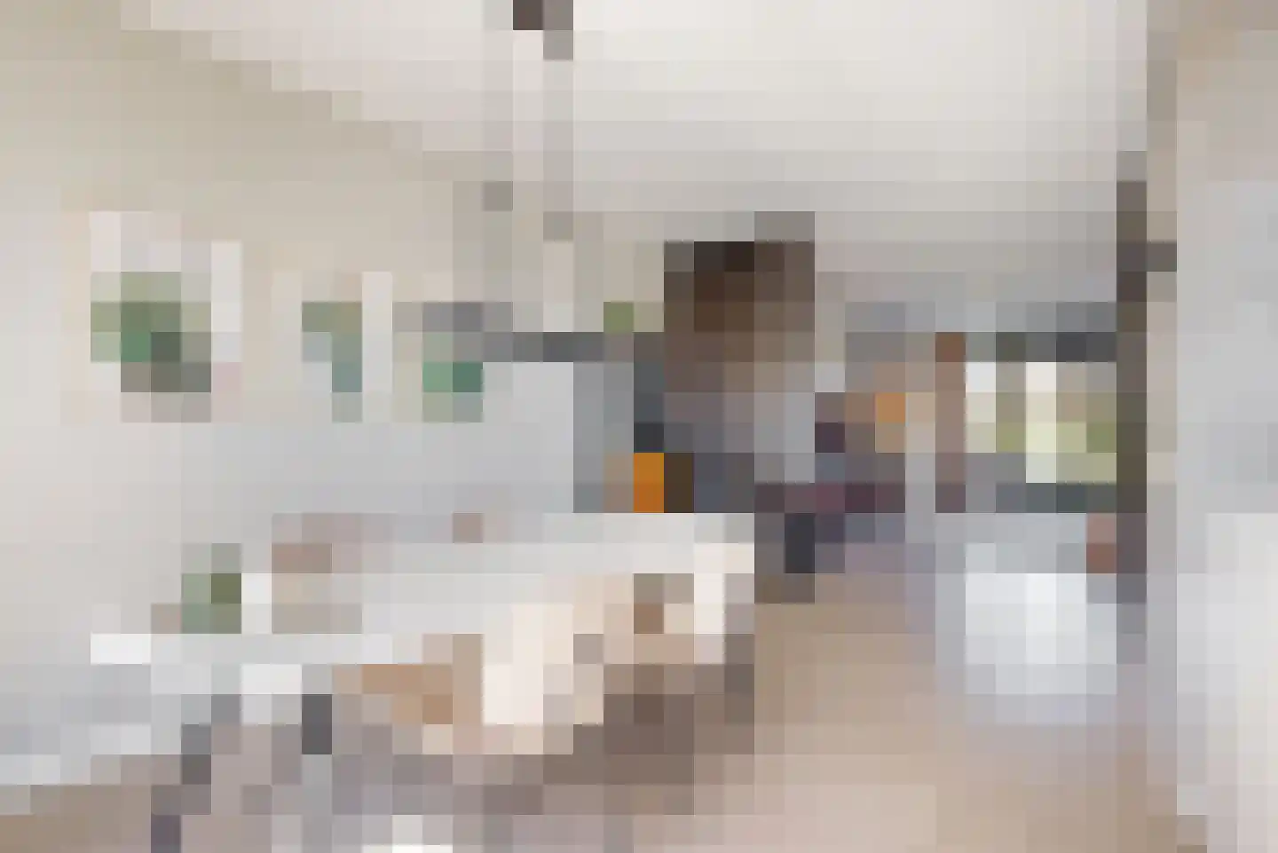 Hazelnootlint 2 Limmen thumbnail 25