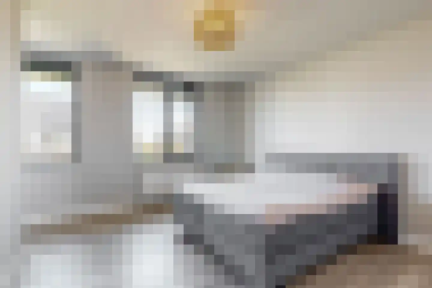 Hazelnootlint 2 Limmen thumbnail 28