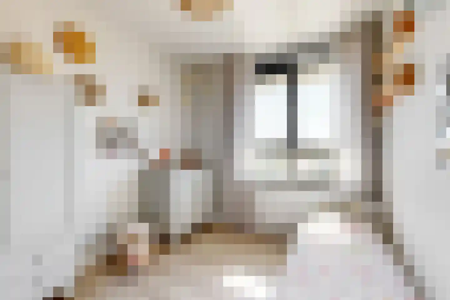 Hazelnootlint 2 Limmen thumbnail 31