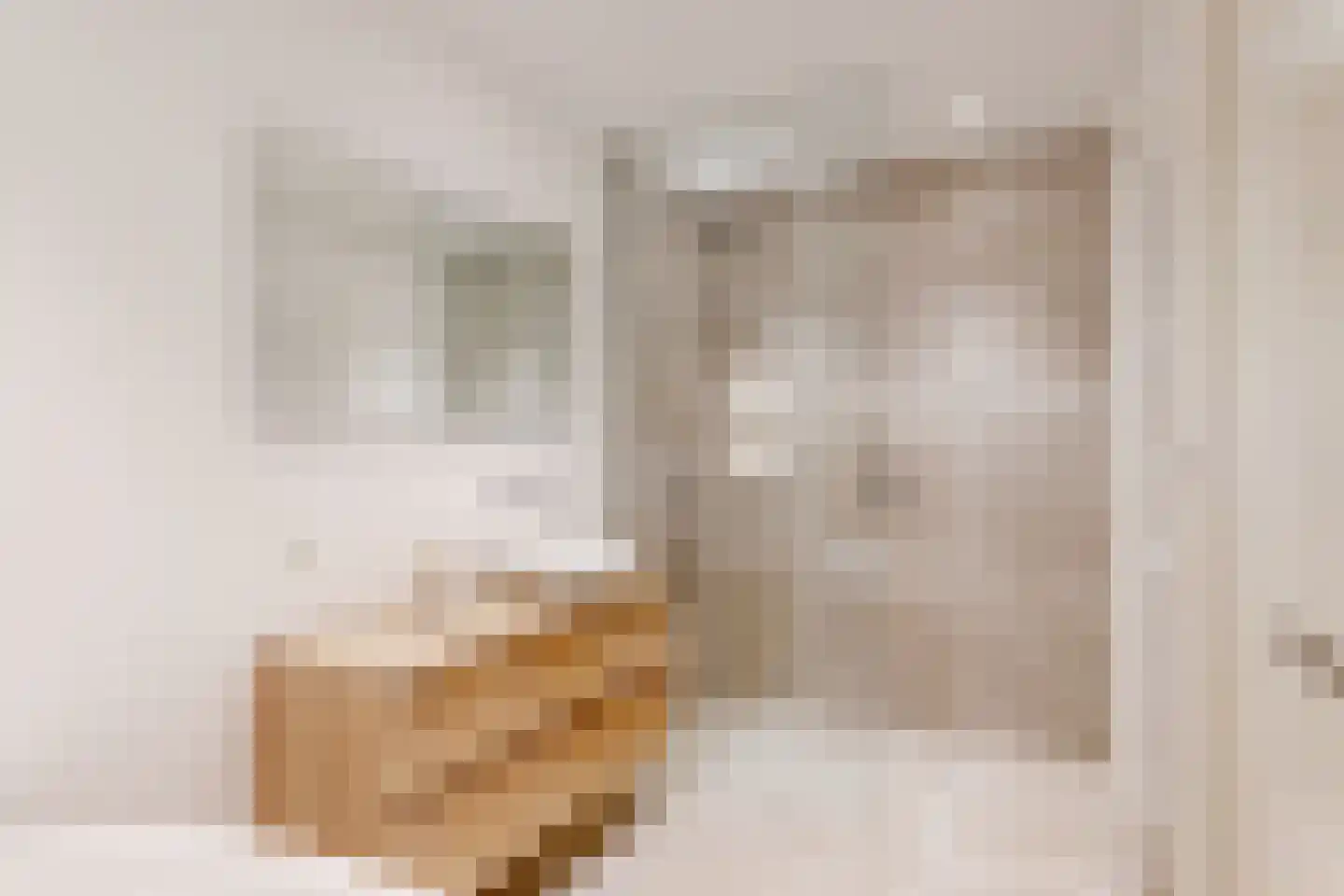 Hazelnootlint 2 Limmen thumbnail 35