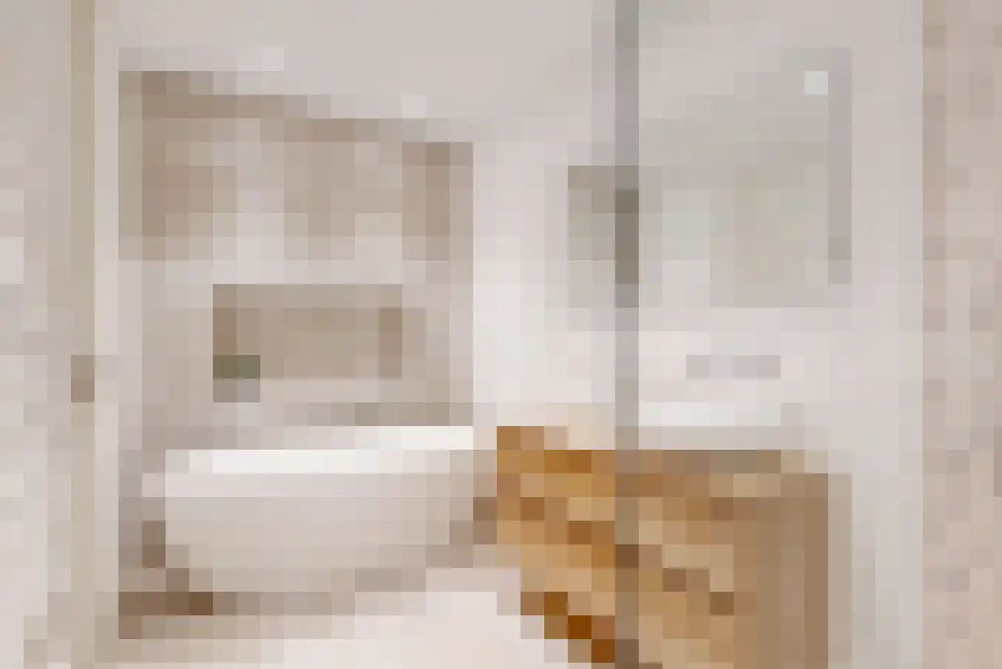 Hazelnootlint 2 Limmen thumbnail 4