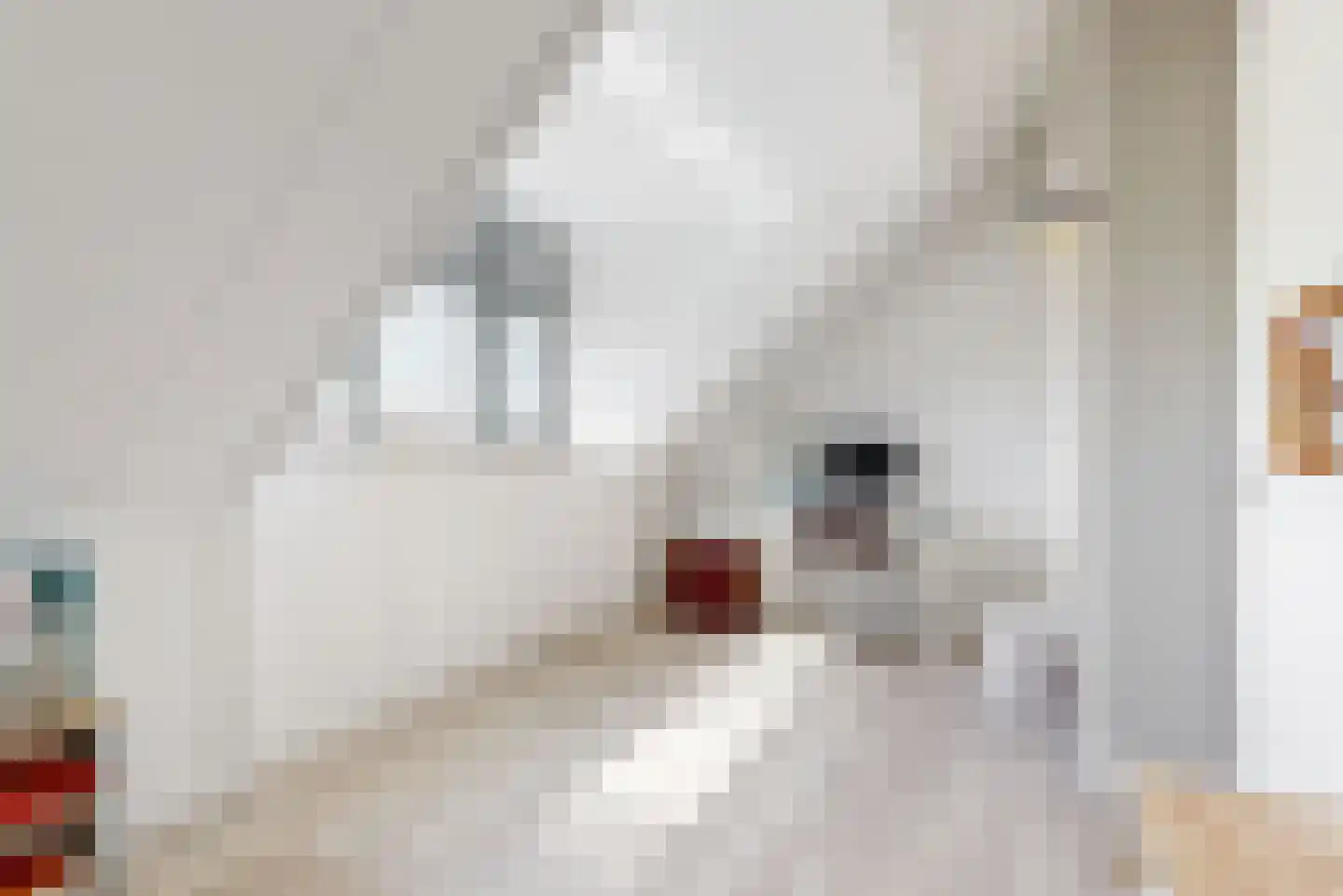 Hazelnootlint 2 Limmen thumbnail 41