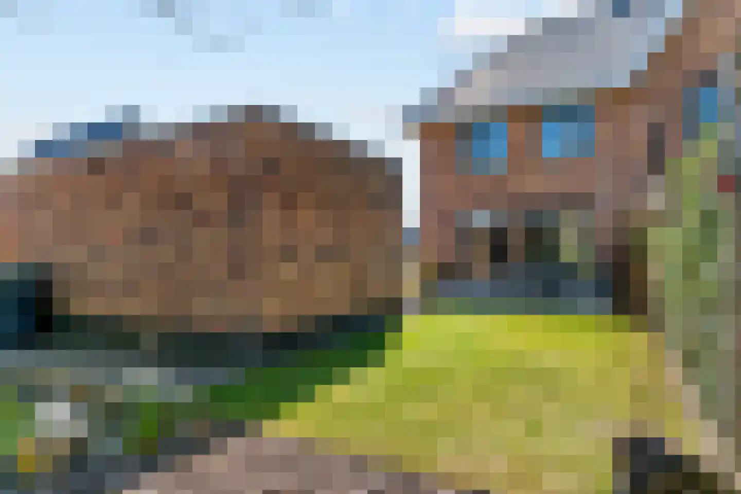 Hazelnootlint 2 Limmen thumbnail 55
