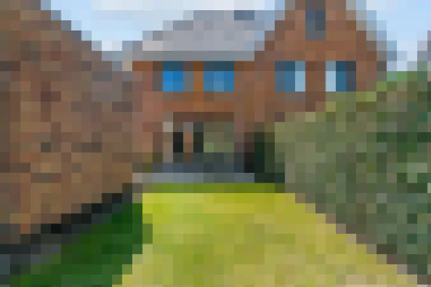Hazelnootlint 2 Limmen thumbnail 56