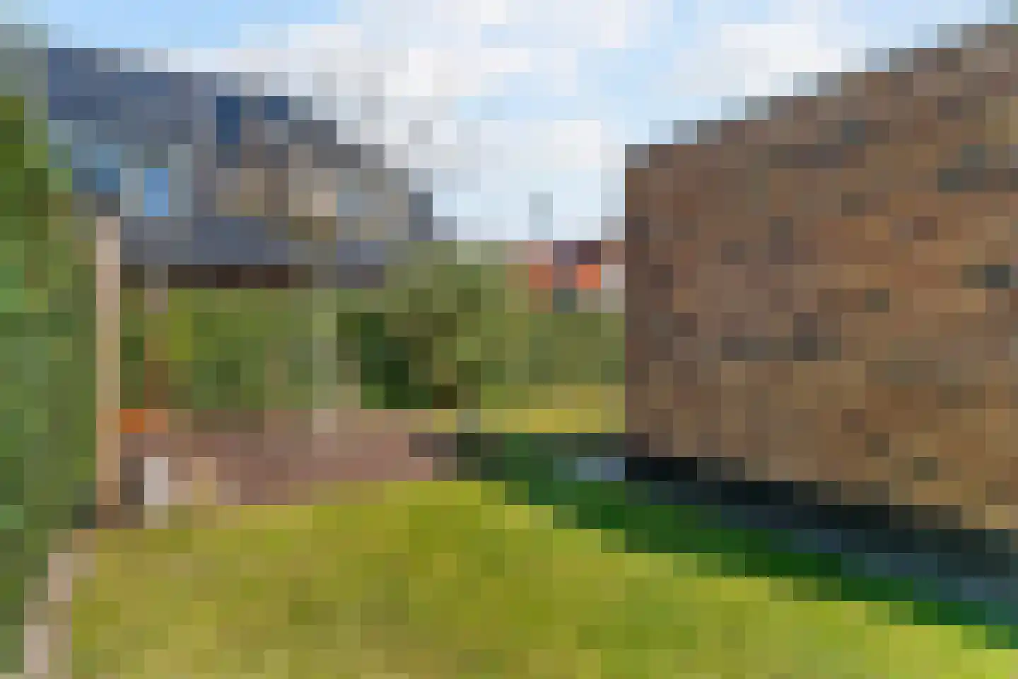 Hazelnootlint 2 Limmen thumbnail 57