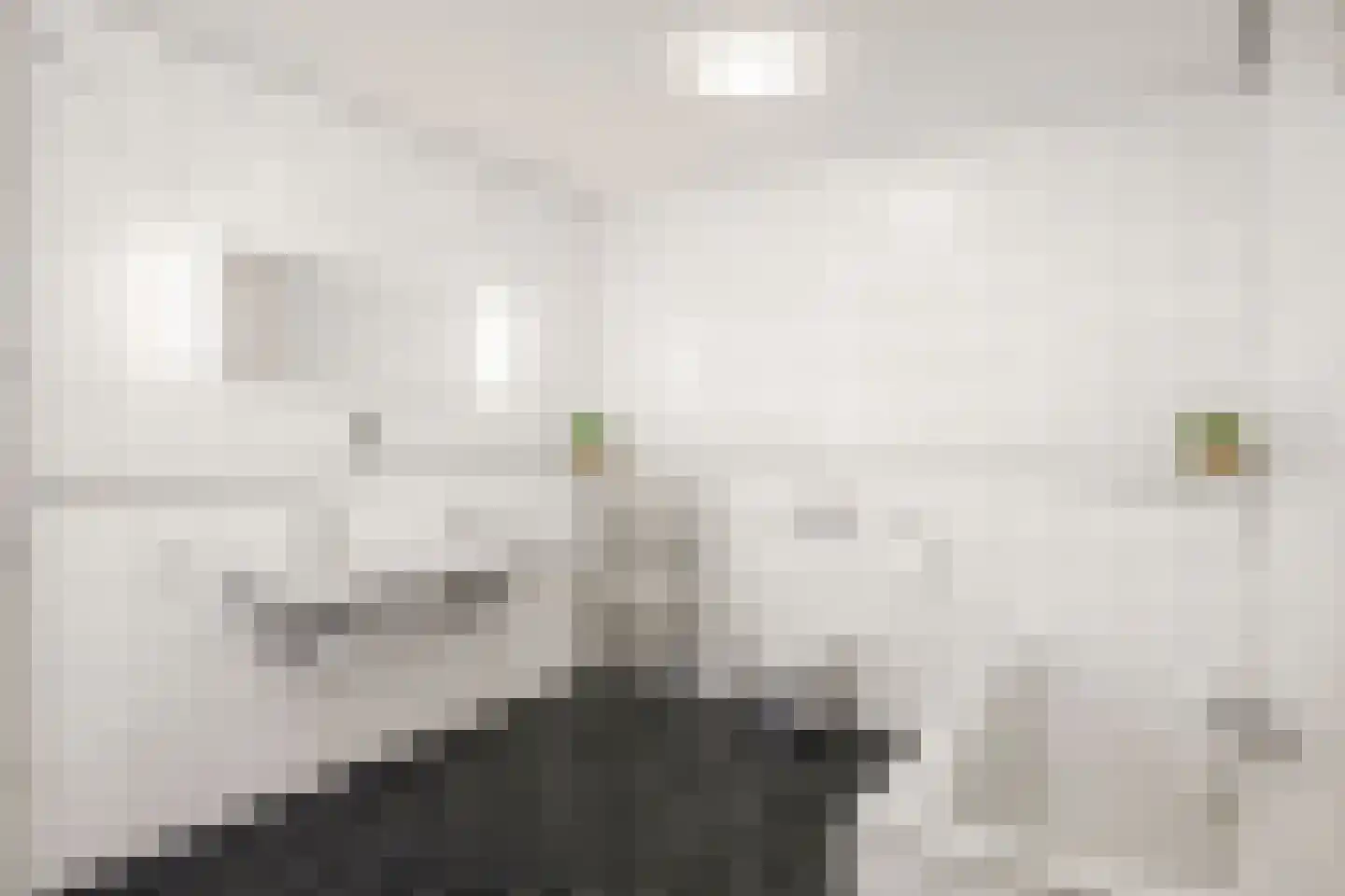Hazeloop 4 Gorssel thumbnail 42