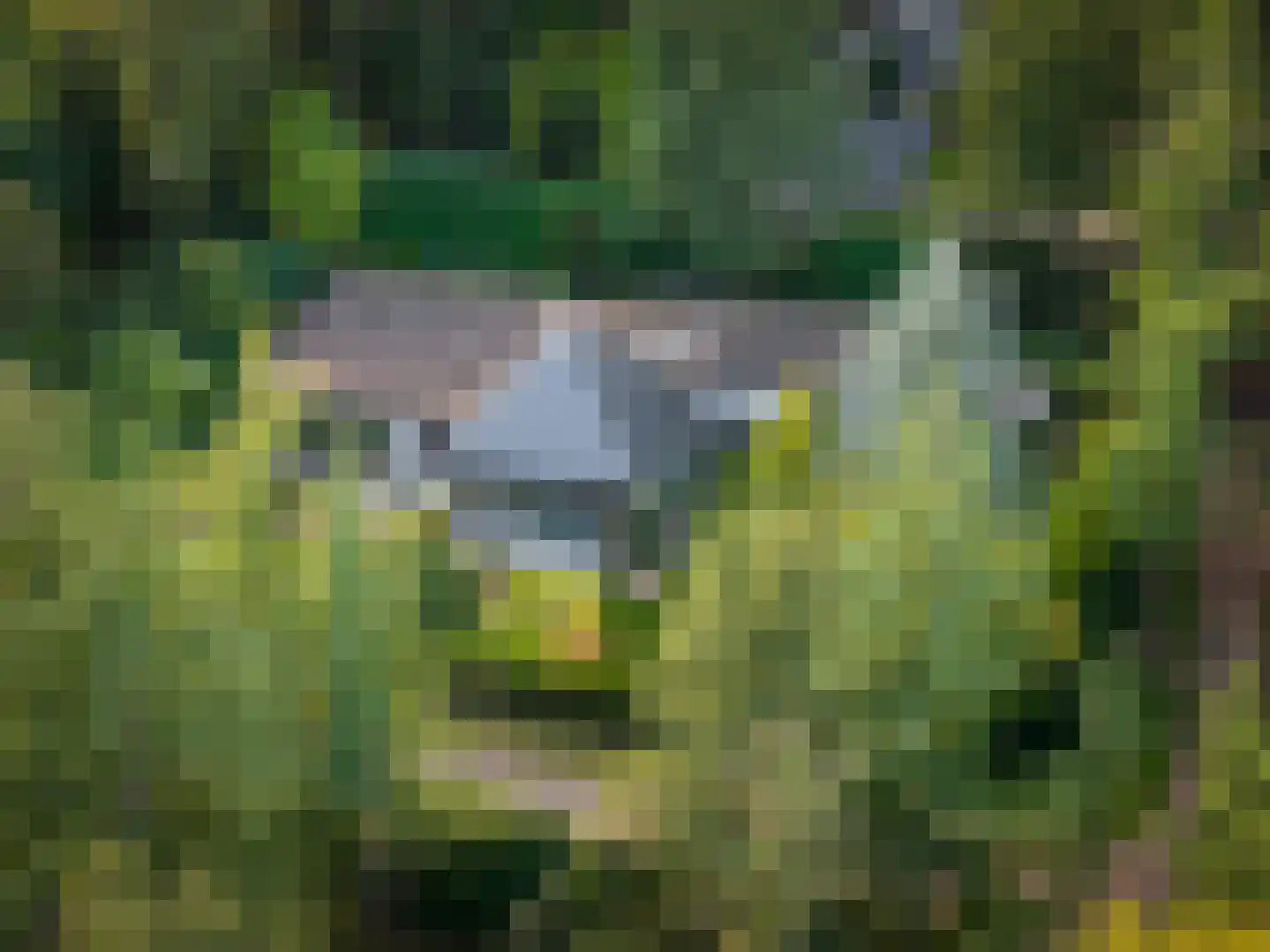 Hazeloop 4 Gorssel thumbnail 55