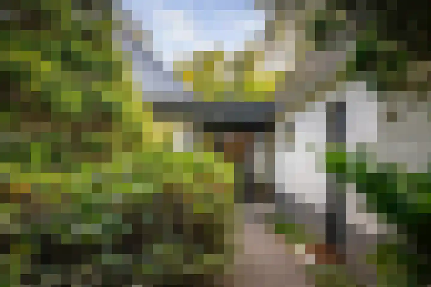Hazeloop 4 Gorssel thumbnail 58