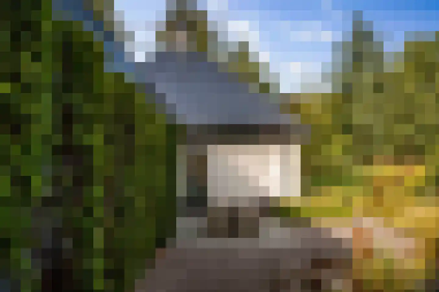 Hazeloop 4 Gorssel thumbnail 59