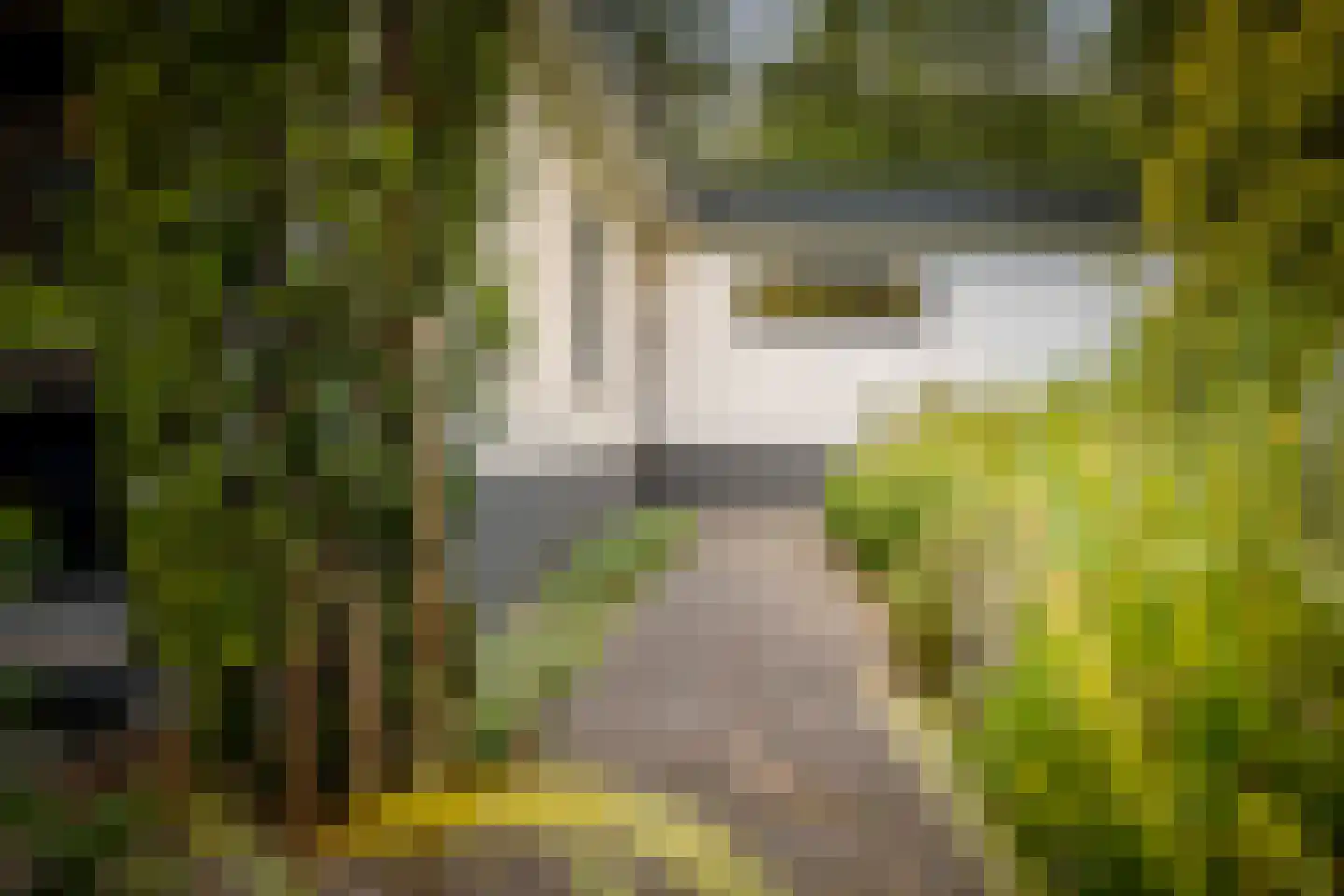 Hazeloop 4 Gorssel thumbnail 60