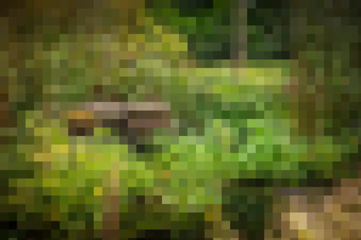Hazeloop 4 Gorssel thumbnail 63