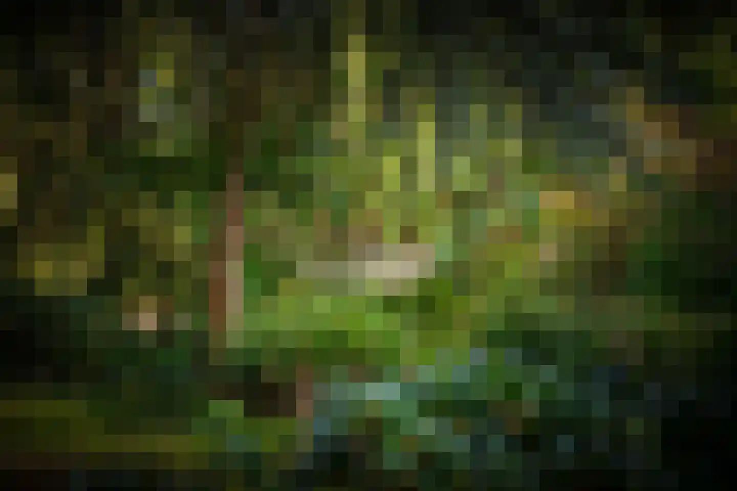 Hazeloop 4 Gorssel thumbnail 65