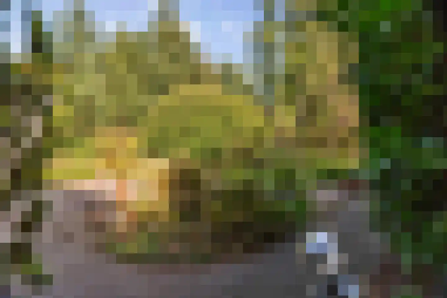Hazeloop 4 Gorssel thumbnail 67