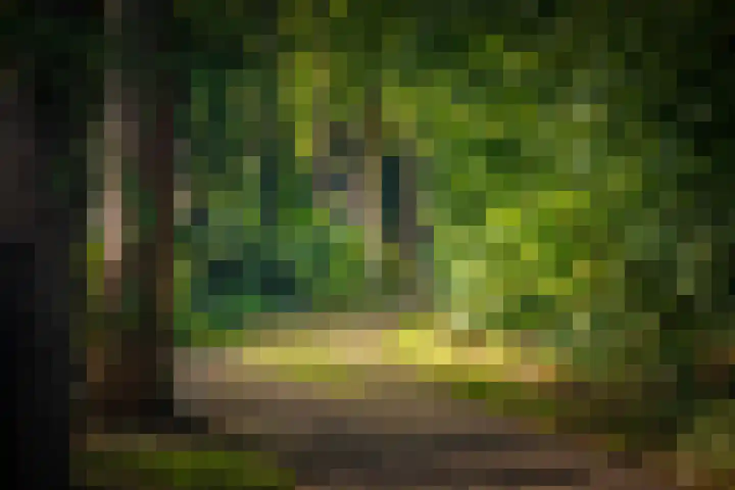 Hazeloop 4 Gorssel thumbnail 69