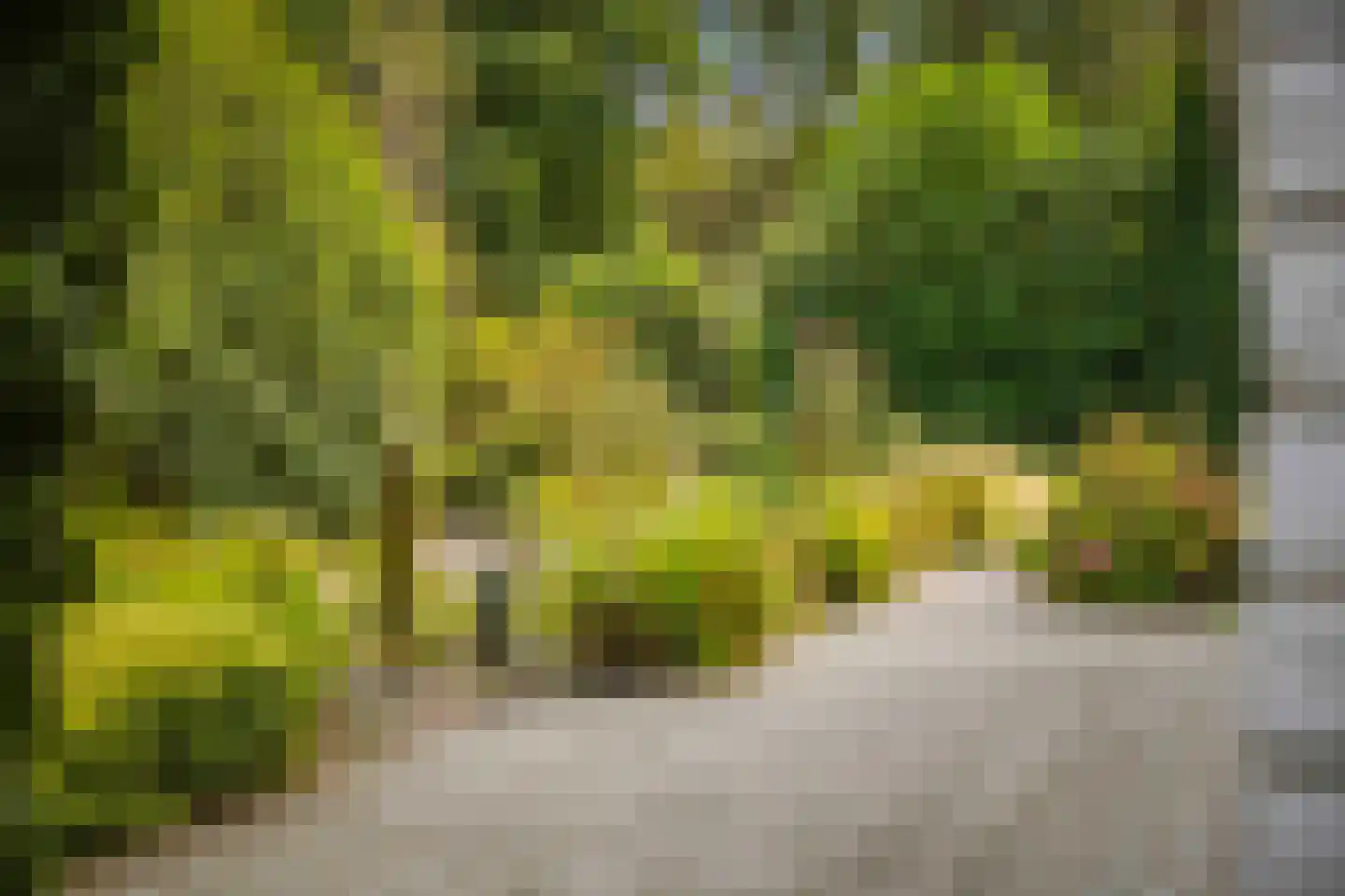 Hazeloop 4 Gorssel thumbnail 7